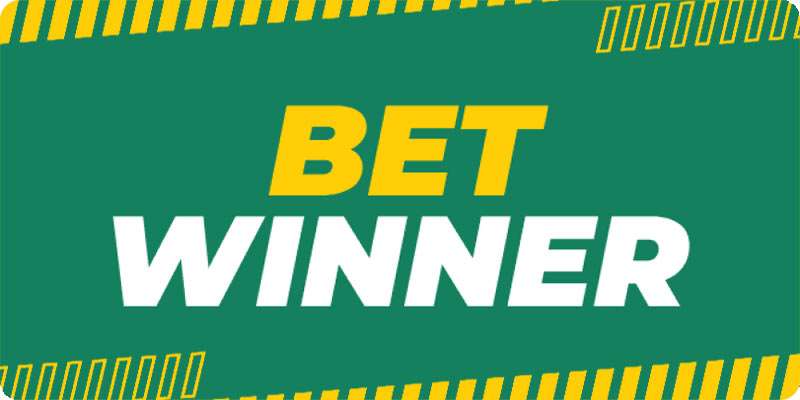 Explore the Betwinner Betting Platform for Unmatched Gaming Experience