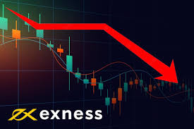 Trade With Exness A Comprehensive Guide for Beginners Trade With Exness A Comprehensive Guide for Beginners